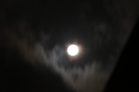 名月を覆う雲