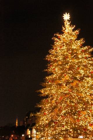 恵比寿ガーデンプレイスのクリスマスツリーと東京タワー