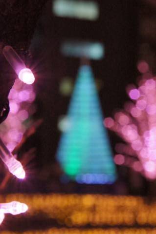 LED電球とクリスマスツリー