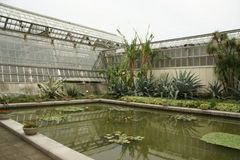 DSC27856.JPG