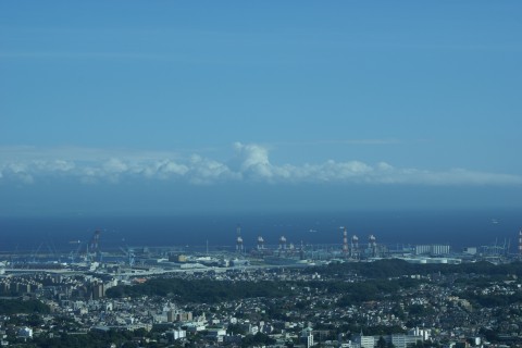 DSC36692.JPG