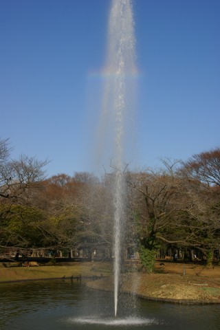 噴水の虹4
