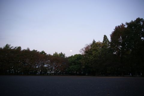 明け方の満月