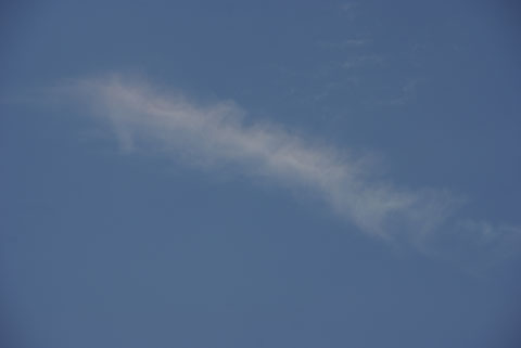 イルカ型の彩雲